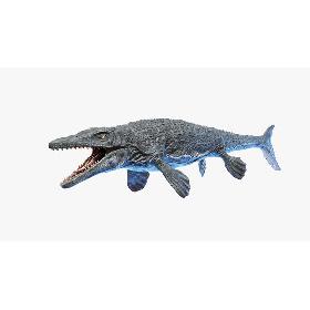 3D Mosasaurus